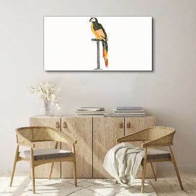A parrot against a white wall Canvas Wall art