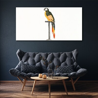 A parrot against a white wall Canvas Wall art