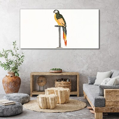 A parrot against a white wall Canvas Wall art
