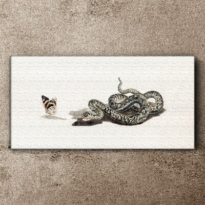 Drawing animal snake butterfly Canvas Wall art