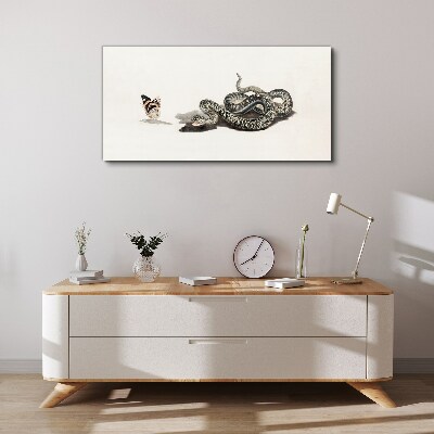 Drawing animal snake butterfly Canvas Wall art