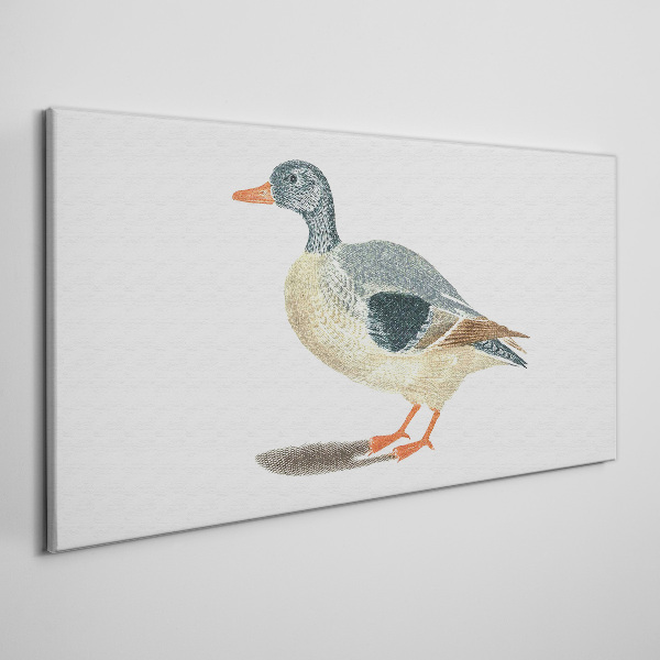 Duck in pastel shades Canvas Wall art