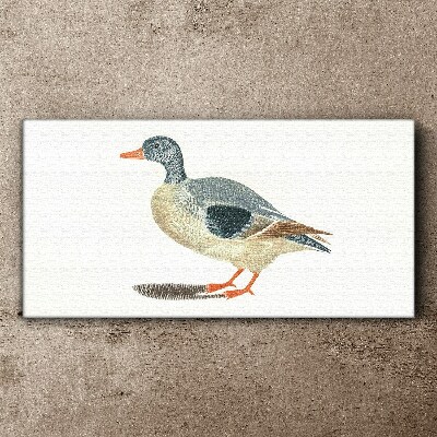 Duck in pastel shades Canvas Wall art