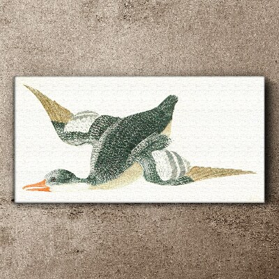 Drawing animal bird duck Canvas Wall art