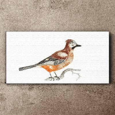Swallow on a branch Canvas Wall art