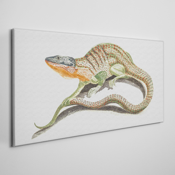 Colorful lizard in motion Canvas Wall art