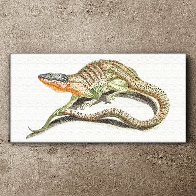 Colorful lizard in motion Canvas Wall art