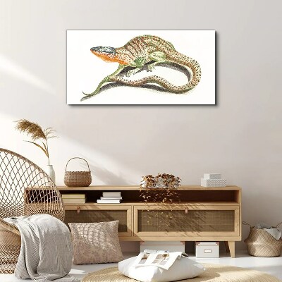 Colorful lizard in motion Canvas Wall art