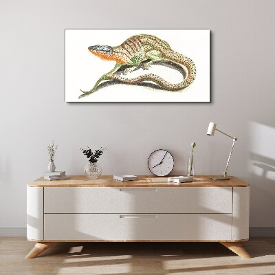 Colorful lizard in motion Canvas Wall art