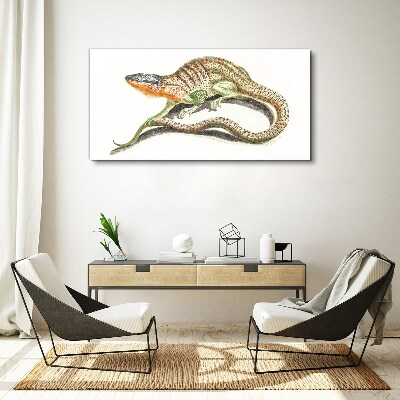 Colorful lizard in motion Canvas Wall art