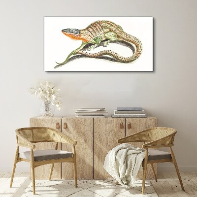 Colorful lizard in motion Canvas Wall art