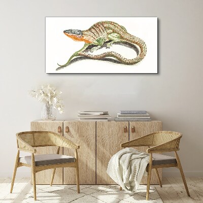 Pet lizard Canvas Wall art
