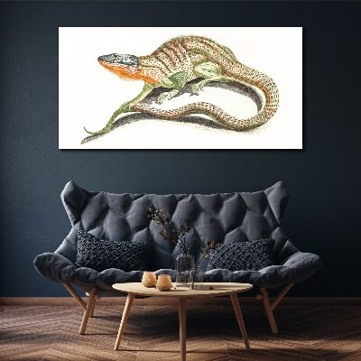 Colorful lizard in motion Canvas Wall art