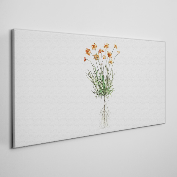 Flowers with roots Canvas Wall art