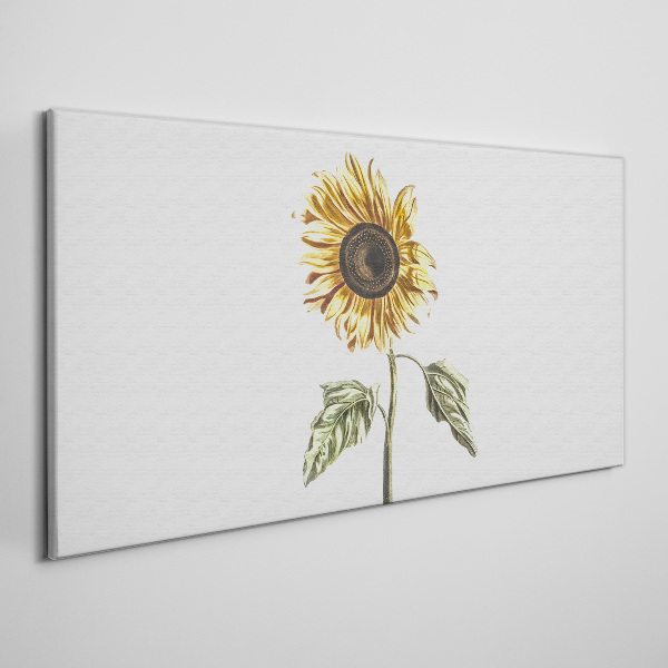 Flowers plants Canvas Wall art