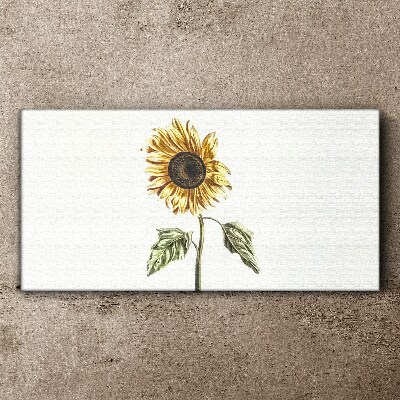 Flowers plants Canvas Wall art