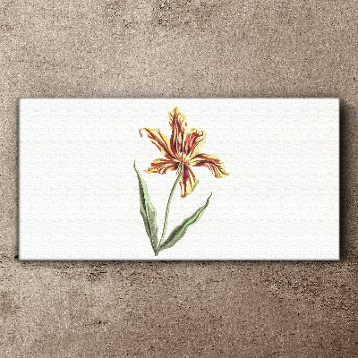 Floral arrangement in warm colors Canvas print