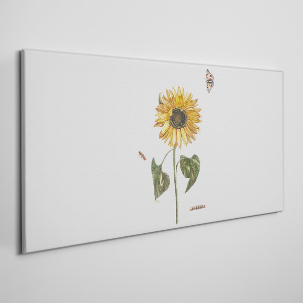 Sunflower in a delicate composition Canvas print