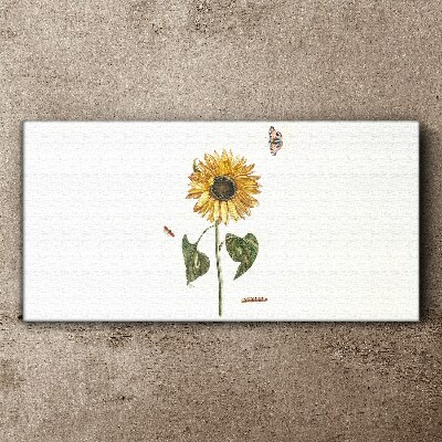 Sunflower in a delicate composition Canvas print