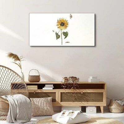 Sunflower in a delicate composition Canvas print