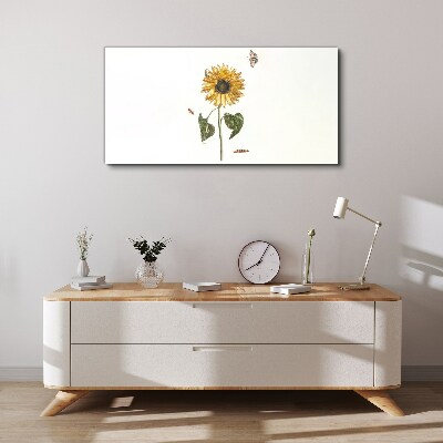 Sunflower in a delicate composition Canvas print