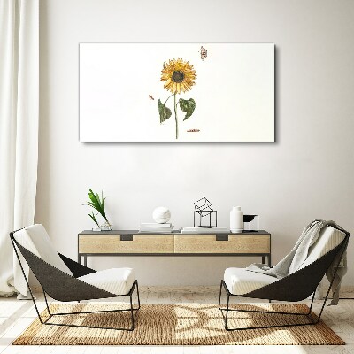 Sunflower in a delicate composition Canvas print