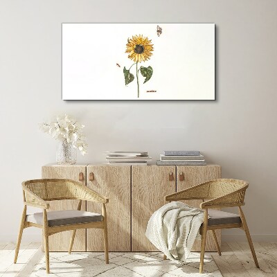 Sunflower in a delicate composition Canvas print