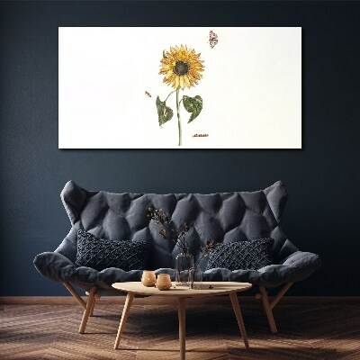 Sunflower in a delicate composition Canvas print