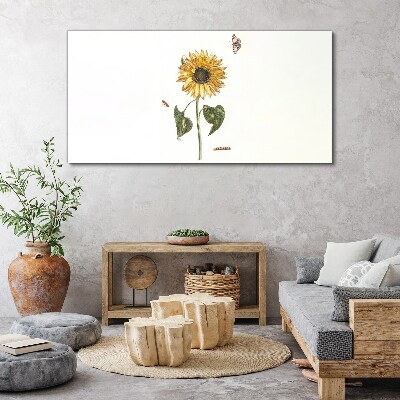 Sunflower in a delicate composition Canvas print