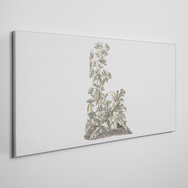 Plants in soft light Canvas print