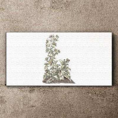 Plants in soft light Canvas print