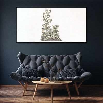 Plants in soft light Canvas print