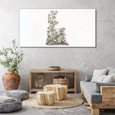 Plants in soft light Canvas print