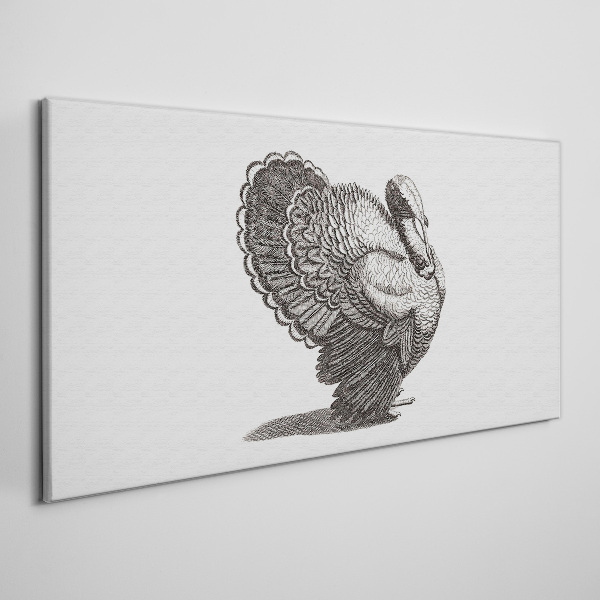 Drawing animal bird turkey Canvas print