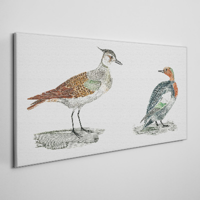 Birds in the colors of nature Canvas print
