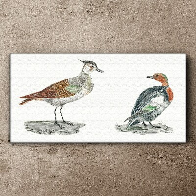 Birds in the colors of nature Canvas print