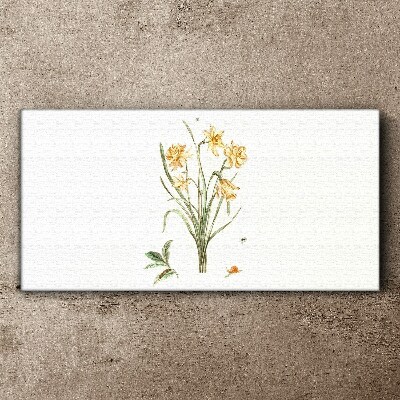 Daffodil flowers with a nature motif Canvas print