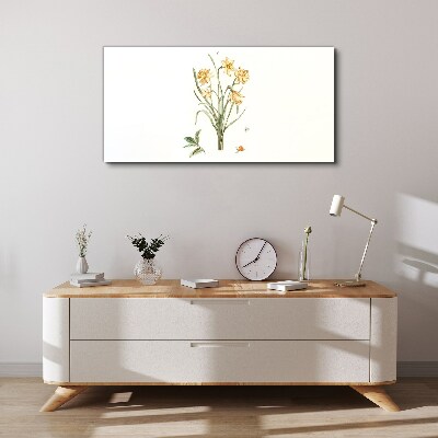 Daffodil flowers with a nature motif Canvas print