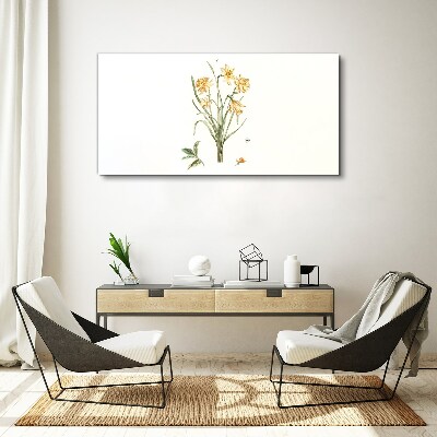 Daffodil flowers with a nature motif Canvas print