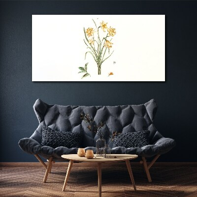 Daffodil flowers with a nature motif Canvas print