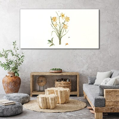 Daffodil flowers with a nature motif Canvas print