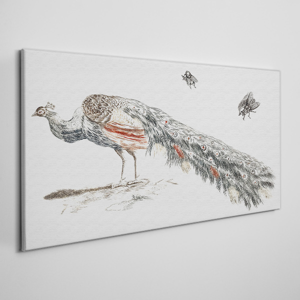 Peacock with flies Canvas print