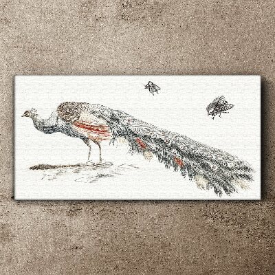 Peacock with flies Canvas print