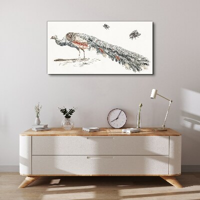 Peacock with flies Canvas print