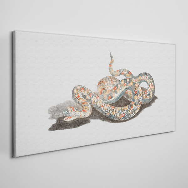 Snake pattern with colorful details Canvas print