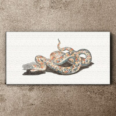 Snake pattern with colorful details Canvas print