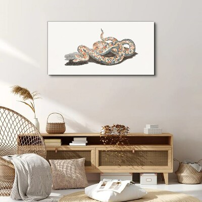 Snake pattern with colorful details Canvas print
