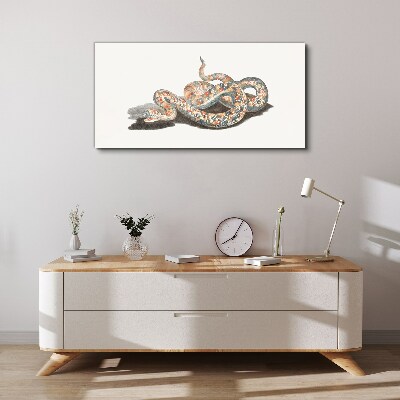 Snake pattern with colorful details Canvas print