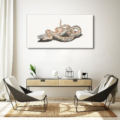 Snake pattern with colorful details Canvas print