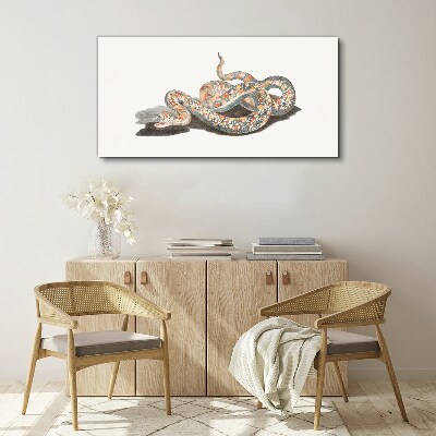Snake pattern with colorful details Canvas print